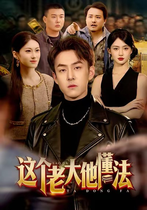 这个老大他懂法（100集）最新热门短剧