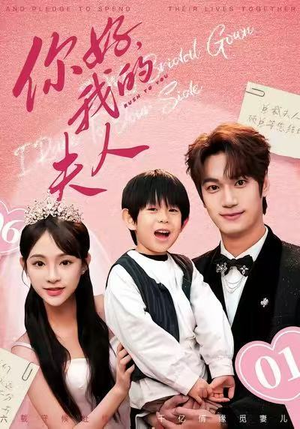 你好，我的夫人（65集）精彩的网络短剧