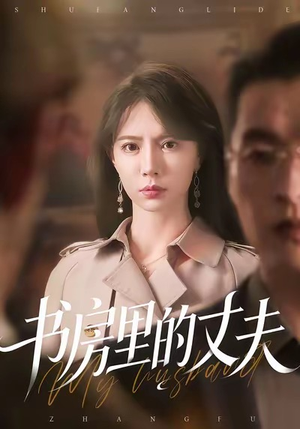 书房里的丈夫（100集）推荐好短剧