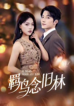 羁鸟念旧林（60集）小短剧推荐