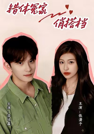 错体冤家俏搭档（60集）口碑之选免费看