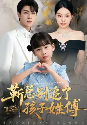 靳总别追了，孩子姓傅（51集）全集我都看完了