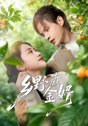 乡野藏金婿（50集）哪个网站可以看