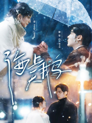 海上天鹅（70集）短剧解说热门