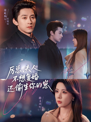 厉总，夫人不想复婚还偷生你的崽（80集）短剧追到爽