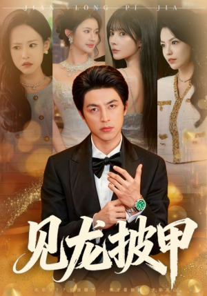 见龙披甲（70集）精彩热门短剧