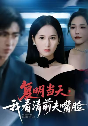 复明当天，我看清前夫嘴脸（50集）爆款短剧推荐