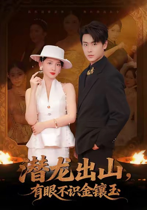 潜龙出山有眼不识金镶玉（78集）在哪看