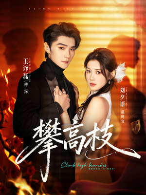 攀高枝（70集）古装热门短剧