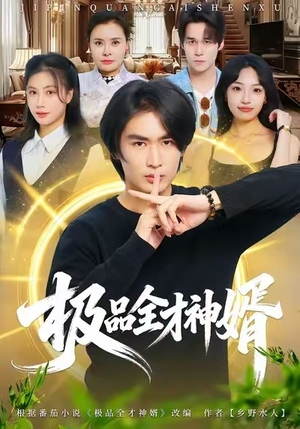 极品全才神婿（67集）短剧越看越精彩