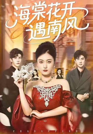 海棠花开遇南风（50集）1-102集