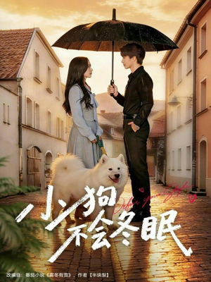 小狗不会冬眠（70集）精彩短剧推荐