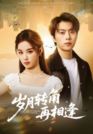 岁月转角再相逢（80集）解说文案