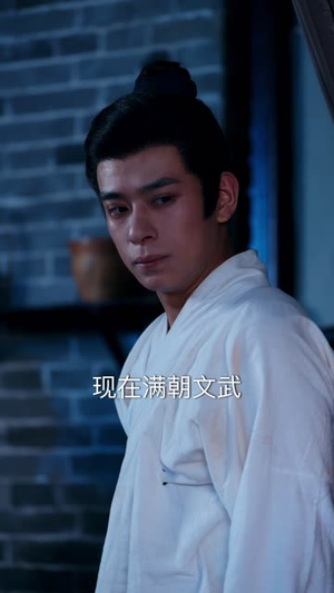 顶罪王妃她掀桌了（90集）一口气追完全集