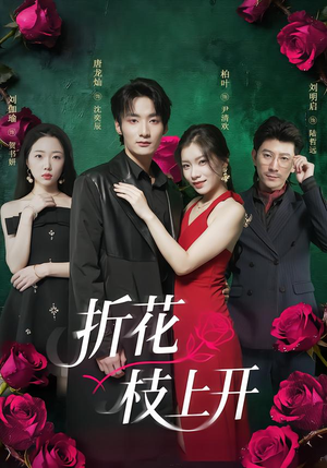 折花枝上开（51集）上热门短剧
