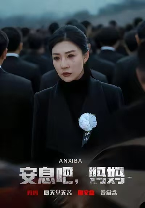 安息吧，妈妈（60集）网盘在线观看