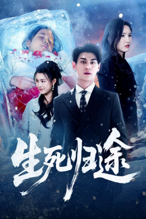 生死归途（50集）太好看了短剧