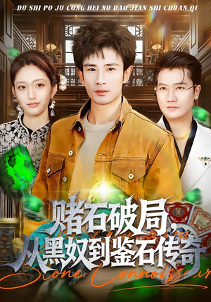 赌石破局，从黑奴到鉴石传奇（64集）免费在线看全集