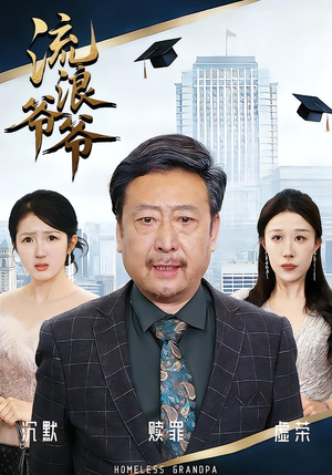 流浪爷爷（40集）黄月倩&蔡欣&杨玉洁全集一次看完