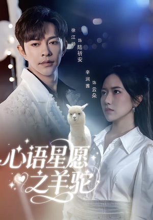 心语星愿之羊驼（60集）演的怎么样
