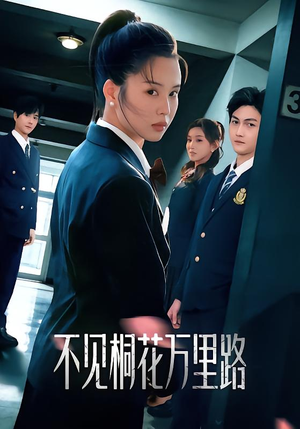 不见桐花万里路（71集）免费观看全集