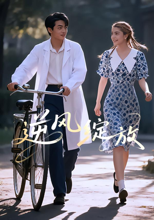 逆风绽放（55集）最火短剧热播中