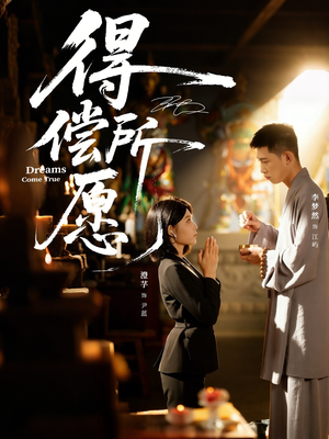得偿所愿（65集）热播短剧重燃