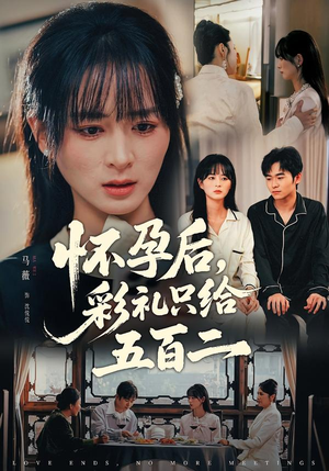 怀孕后，彩礼只给五百二（40集）排行榜前十短剧