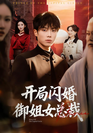 开局闪婚御姐女总裁（62集）全集一网打尽
