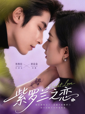 紫罗兰之恋（82集）抢先看新短剧