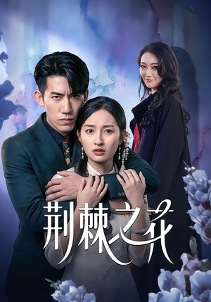 荆棘之花（100集）甜宠短剧追到爽