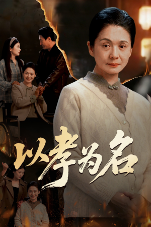 以孝为名（51集）高分佳作免费看