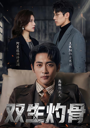 双生灼骨（60集）热门短剧排行榜