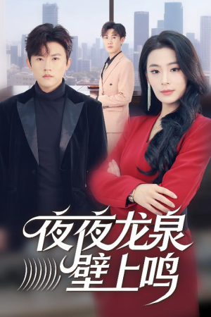 夜夜龙泉壁上鸣（63集）百度网盘资源