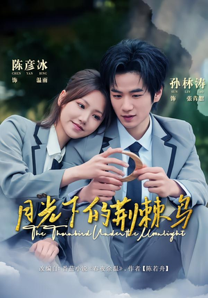 月光下的荆棘鸟（80集）精彩短剧推荐