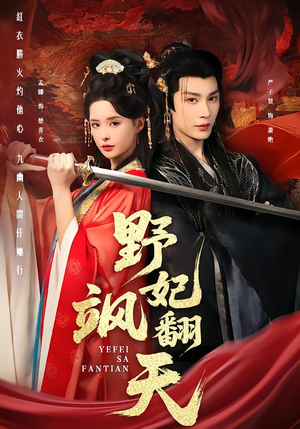 野妃飒翻天（62集）完整版