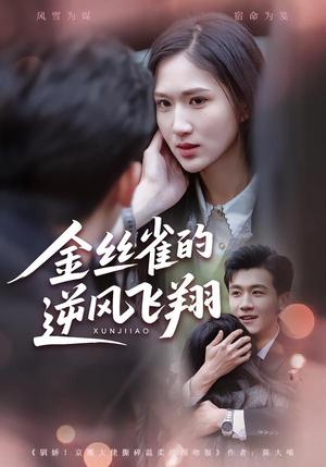 金丝雀的逆风飞翔（80集）热门短剧看不停