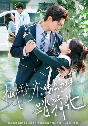 枫城奇才：传承加身踏清北（80集）短剧中追到爽