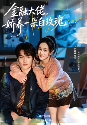 金融大佬，娇养一朵白玫瑰（70集）免费观看