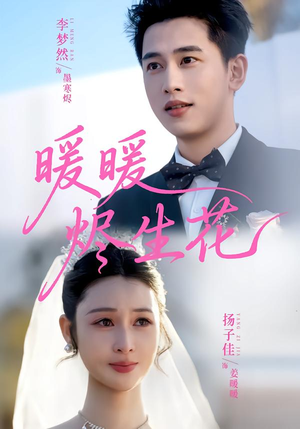 暖暖烬生花（65集）热播短剧全集看