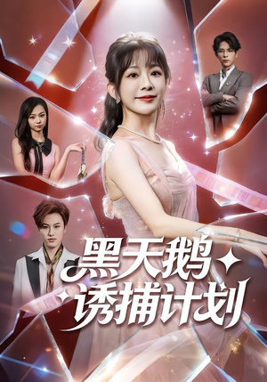 黑天鹅诱捕计划（81集）免费观看就是爽
