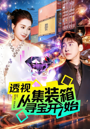 透视从集装箱寻宝开始（117集）在线观看全集