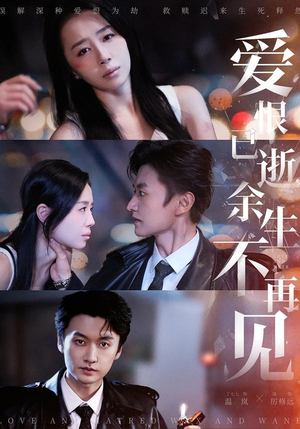 爱恨已逝，余生不再见（68集）最后一集