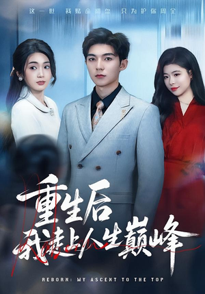 重生后我走上人生巅峰（80集）番茄短剧看全集