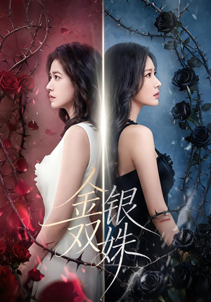 金银双姝（80集）好看的短剧电影