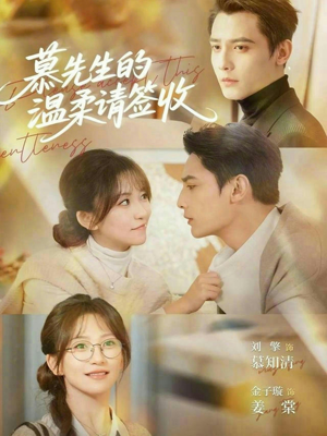 慕先生的温柔请签收（90集）好看短剧追不停