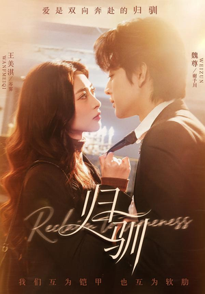 归驯（82集）最火短剧热播