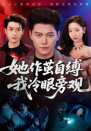 她作茧自缚我冷眼旁观（60集）一共多少集