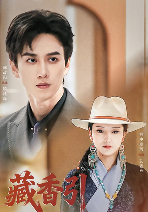 藏香引（63集）完整版免费观看