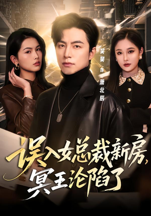 误入女总裁新房，冥王沦陷了（80集）在哪里可以全集
